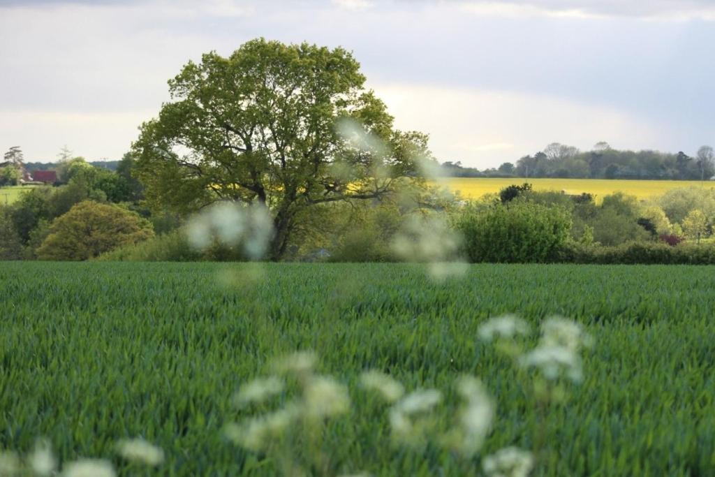 Lovely 3 Bedroom House In The Centre Of Lavenham Extérieur photo